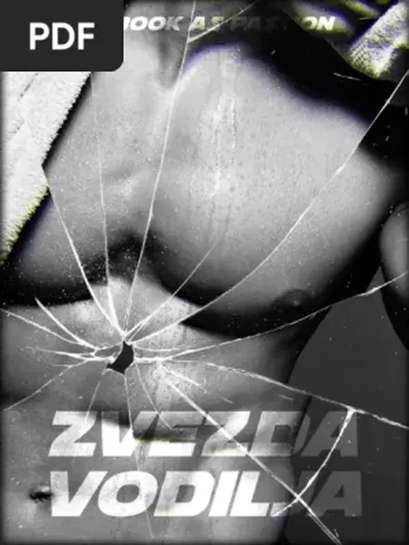Book As Passion - Zvezda vodilja