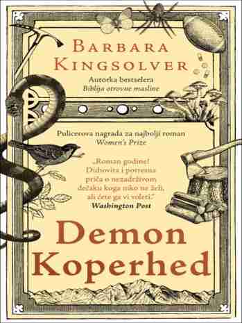 Barbara Kingsolver - Demon Koperhed