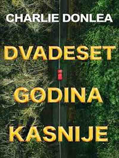 Charlie Donlea - Dvadeset godina kasnije