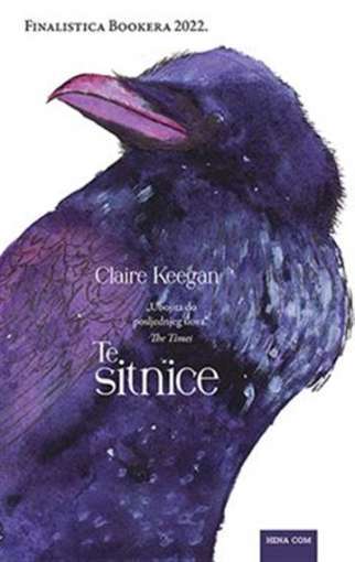 Claire Keegan - Te sitnice