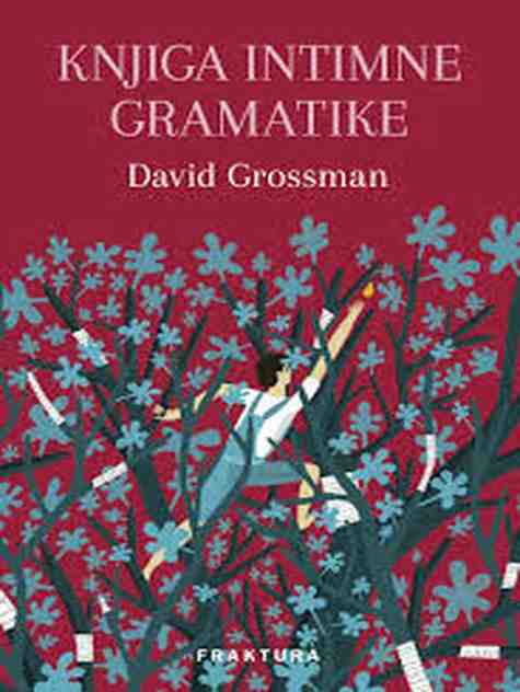 David Grossman - Knjiga intimne gramatike