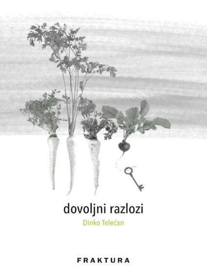 Dinko Telećan - Dovoljni razlozi