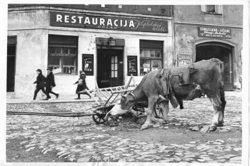 Gavra, Džamija, Ksantipa ili Njegoš – kako su se spelovala slova telefonom 1947.