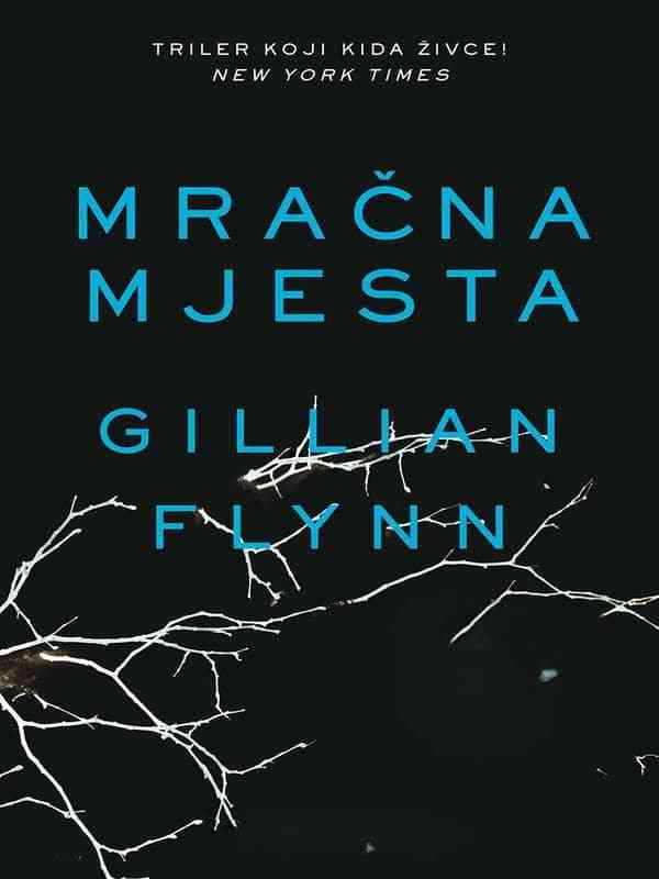Gilliam Flynn - Mračna mjesta