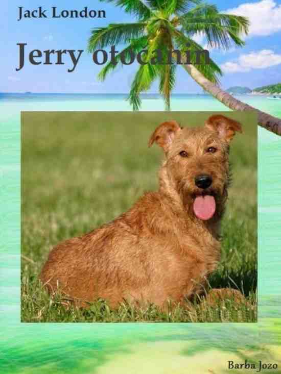Jack London - Jerry otočanin