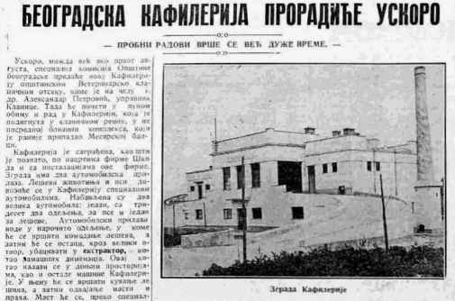 Jezivo “rešenje” za ulične pse