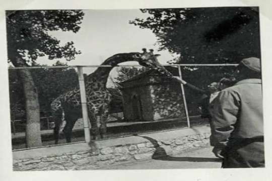 Kako je izgledao “Zverinjak” kad je otvoren 1936. godine