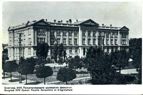 Kako je važna zemunska zgrada postala neverovatan hibrid