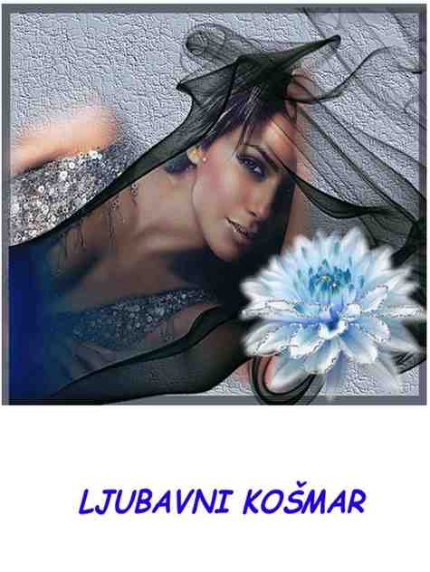 Kortni Mičel - LJUBAVNI KOŠMAR
