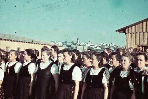 Krug smrti na Ušću
