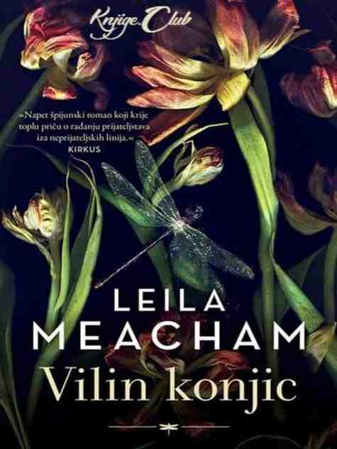 Leila Meacham - Vilin konjic