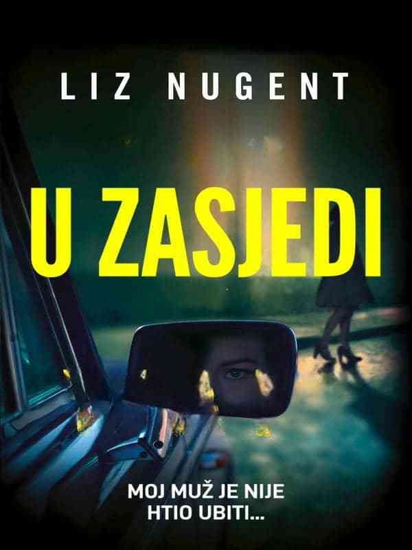 Liz Nugent - U zasjedi