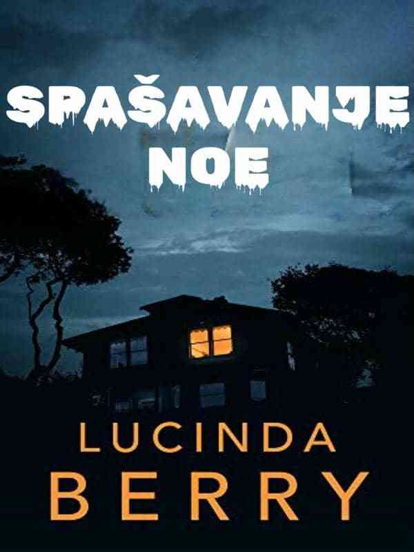 Lucinda Berry - Spašavanje Noe