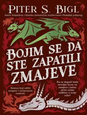 Peter S. Beagle - Bojim se da ste nabavili zmajeve