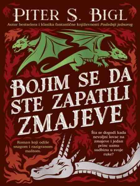 Peter S. Beagle - Bojim se da ste zapatili zmajeve