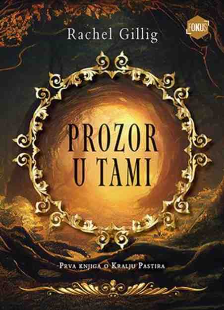 Rachel Gillig - Prozor u tami