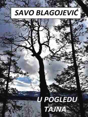 Savo Blagojević - U pogledu tajna