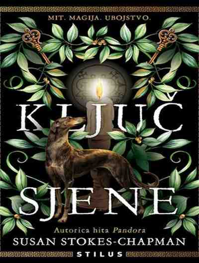 Susan Stokes Chapman - Ključ sjene