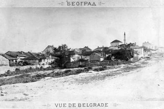 Važno delo Josifa Pančića na Dorćolu razorio je Dunav