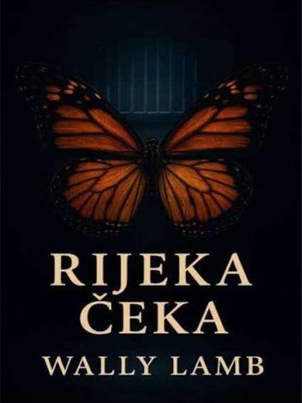 Ova PDF knjiga, priča o Lili, povučenoj bibliotekarki koja se vraća u rodni grad da brine o teško bolesnoj majci. U isto vreme pokušava da pomogne nećakinji koja se teško nosi sa posledicama očevog odlaska u zatvor. Porodične tajne iz prošlosti postepeno izlaze na videlo i menjaju odnose među članovima porodice. Susret sa zatvorenikom Korbijem i njegovom pričom dodatno povezuje njihove živote sa događajima koji su ih zauvek promenili. Dok se prošlost vraća kroz sećanja i porodične sukobe, Lila pokušava da pronađe put ka oprostu i novom početku.