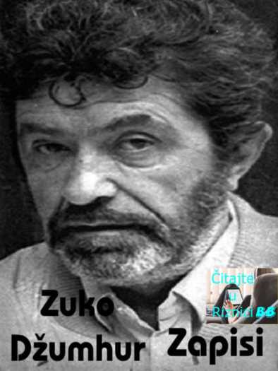 Zuko Džumhur – Zapisi